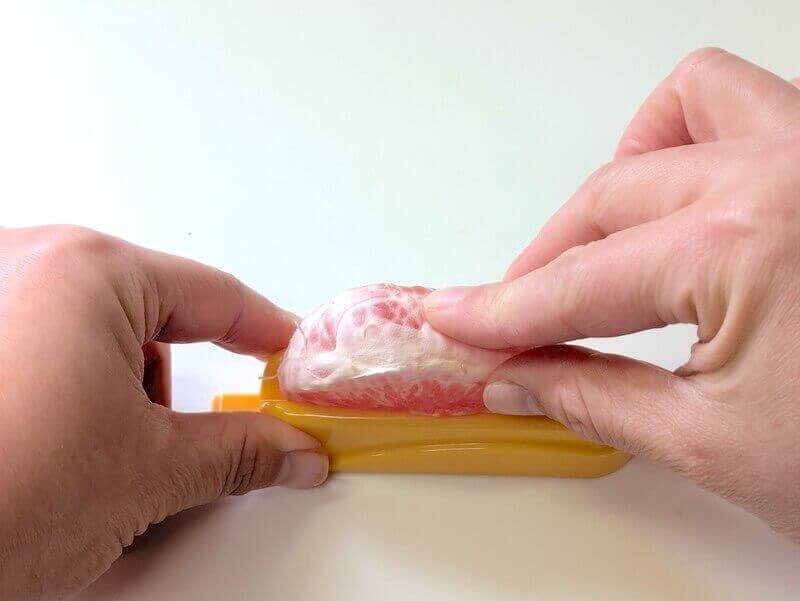 ムッキーちゃん グレープフルーツ 実の房カット